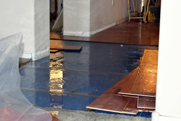 Professional Water Damage Restoration technician working in Boyden, IA
